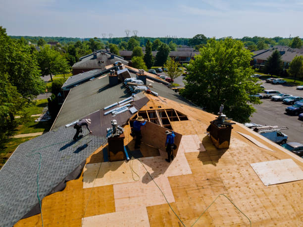 Best Storm Damage Roof Repair  in Bloomville, OH