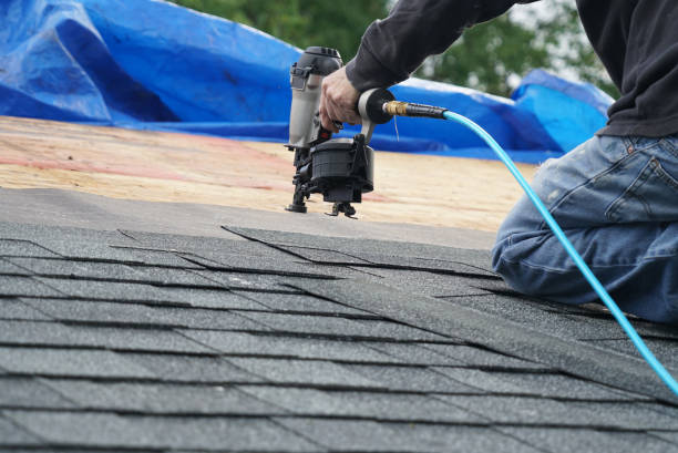 Best Roof Maintenance Services  in Bloomville, OH