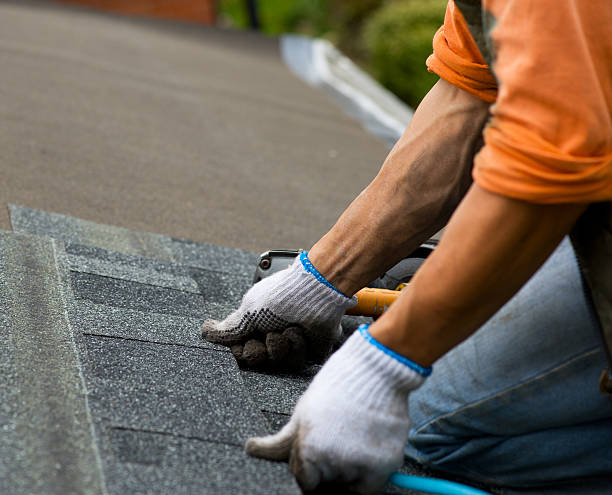 Best Gutter Installation and Roofing  in Bloomville, OH