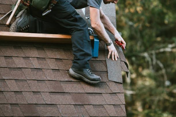 Best Commercial Roofing Services  in Bloomville, OH
